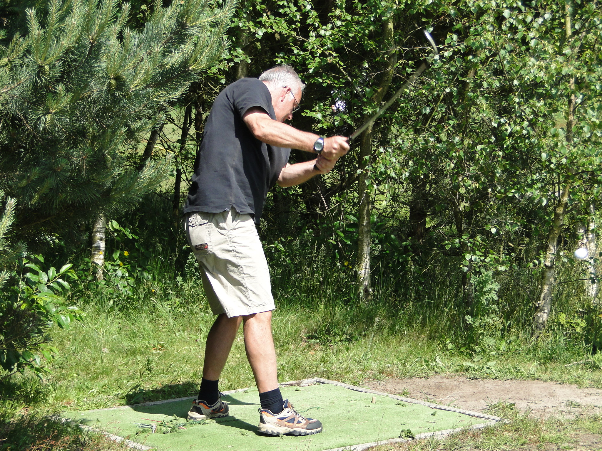 2011HWK 081.jpg